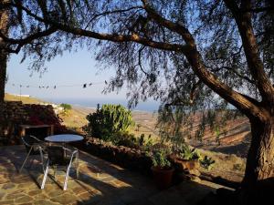 a table and chairs sitting on a patio under a tree at Apartamento Pirul in Haría