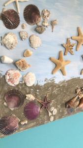 un grupo de conchas y estrellas de mar en la playa en Tra cielo e mare en Francavilla al Mare