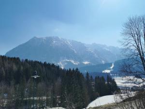 a mountain in the distance with snow and trees at Am Grimming 14 in Tauplitz