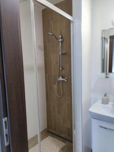 a bathroom with a shower with a toilet and a sink at Apartmány Meghan in Podhájska