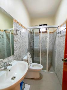 パングラオにあるKASSFFER APARTMENTのトイレ、洗面台、シャワー付きのバスルーム