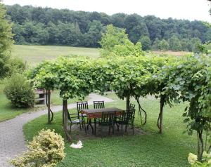 Zahrada ubytování Landhaus Bender Ferienwohnung mit Terrasse und Garten