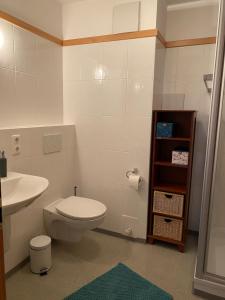 a bathroom with a toilet and a sink at Appartement im Herzen des Allgäu‘s in Rettenberg