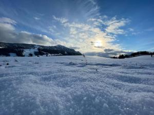 een veld bedekt met sneeuw met de zon op de achtergrond bij Appartement im Herzen des Allgäu‘s in Rettenberg