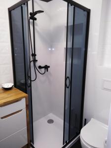 a shower stall in a bathroom with a toilet at Apartament JOANNA in Sanok
