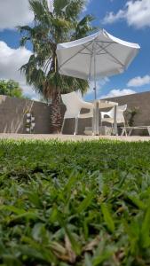 a white umbrella and chairs and a table and a palm tree at Eljacaranda_ in Gualeguay
