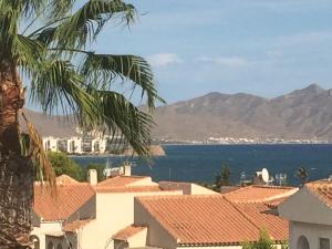 a view of the water and buildings and a palm tree at Puerto de Mazarrón - Large 2 or 3 Bedroom House with Roof Terrace and Wonderful Sea Views in Puerto de Mazarrón