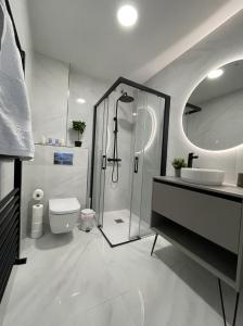 ein Bad mit einer Dusche, einem WC und einem Waschbecken in der Unterkunft Apartamento Nuevo con patio, situado en el centro. in Avila