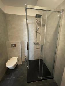 a bathroom with a shower and a toilet in it at Apartamenty Mitori in Dywity