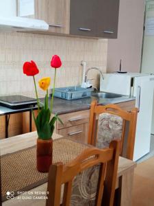 een keuken met een tafel met twee rode bloemen in een vaas bij Apartman Anđelina Vrnjačka Banja in Vrnjačka Banja