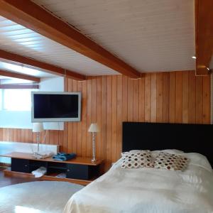 a bedroom with a bed and a flat screen tv at Room in Villa Emilia in Espoo