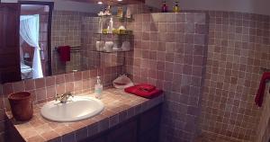 ein Bad mit einem Waschbecken und einem Spiegel in der Unterkunft Agréable chambre d'hôtes, SDB, piscine, carbet cuisine. in Saint-Claude