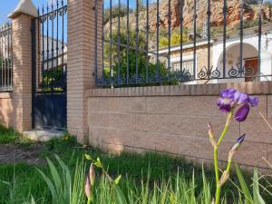 Vonkajšia záhrada v ubytovaní Casa Rural Sole
