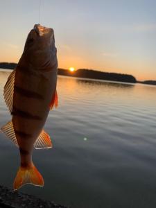 Przyroda w pobliżu tego domu wakacyjnego