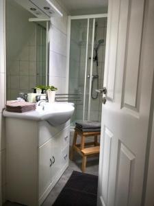 uma casa de banho com um lavatório branco e um chuveiro em Tonne 1 em Eckernförde