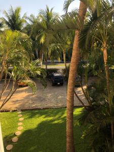 a car parked in a parking lot with palm trees at CORMORAN COZY CONDO IN IXTAPA in Ixtapa