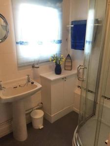 W łazience znajduje się toaleta z umywalką i prysznic. w obiekcie No 27 A dog friendly rural coastal chalet w mieście Seaton