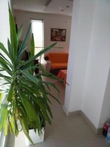 Imagen de la galería de Ripanj, en Ripanj