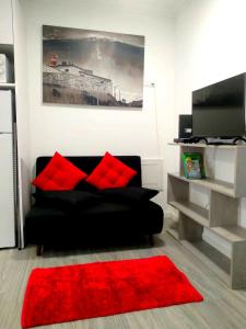 Sol e praia في نازاريه: غرفة معيشة مع أريكة سوداء وسجادة حمراء