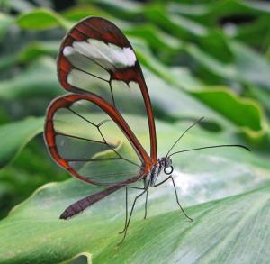 Fotografie z fotogalerie ubytování Reserva Natural Atitlan v destinaci Panajachel