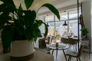 a restaurant with tables and chairs and a potted plant at Herceg Vila in Trebinje