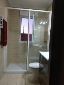a bathroom with a shower with a toilet and a window at Laredo primera línea de playa,zona puerto deportivo in Laredo