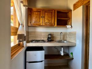 uma pequena cozinha com armários de madeira e um lavatório em Cabaña Puma Tapalpa em Tapalpa