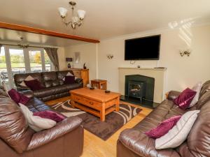 a living room with two leather couches and a fireplace at Blaensilltyn in Bettws-Evan