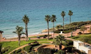 a view of a beach with palm trees and the ocean at Romy suites Deluxe in Netanya