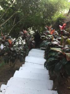 Zahrada ubytování Pradolago Sol Prado Tolima