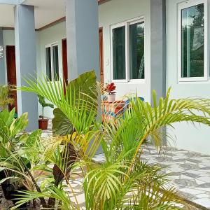 a group of plants in front of a house at JANHOUR PLACE in San Vicente