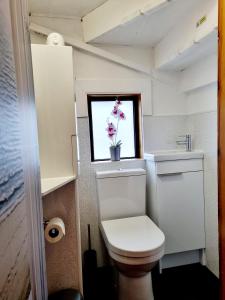 a small bathroom with a toilet and a window at Inverness City 3 bedroom house in Inverness