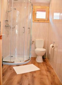 a bathroom with a shower and a toilet at Domki Letniskowe ARTEMI in Rowy +5 photos