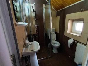 a bathroom with a toilet and a sink and a shower at Pension Calborean in Tălmăcel