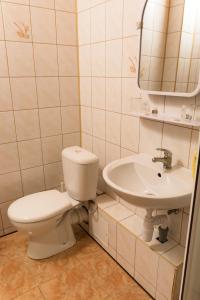 a bathroom with a toilet and a sink at Hotel Runmis in Vilnius
