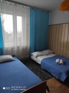 two beds in a room with blue walls and a window at Willa Aura in Mielno