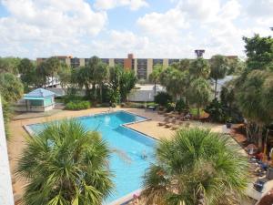 a beach with palm trees and palm trees at Monumental Movieland Hotel in Orlando