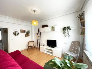 ein Wohnzimmer mit einem roten Sofa und einem TV in der Unterkunft LORE - Parking y bicis gratis in San Sebastián