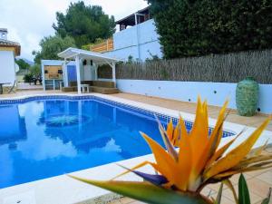 une piscine bleue avec une plante colorée à côté de celle-ci dans l'établissement Holiday Home Rafalet Javea, à Jávea