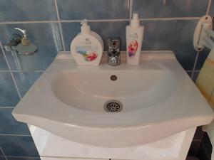 Galeriebild der Unterkunft Apartman Tamara in Sumartin
