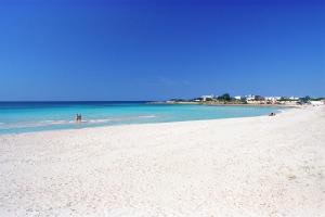 una playa de arena blanca con el océano en el fondo en Punta Prosciutto Bed To Rent 2, en Punta Prosciutto