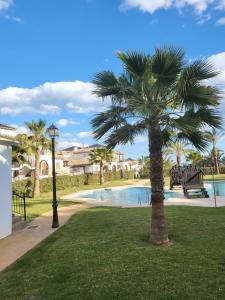 palma siedząca obok basenu w obiekcie ¡Precioso apartamento con fantásticas vistas en Al-Andalus Thalassa! w mieście Vera