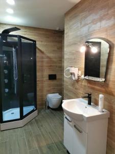 a bathroom with a shower and a sink and a toilet at APARTAMENTY RETRO DE LUX KROSNO in Krosno