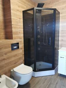 a bathroom with a shower and a toilet and a sink at APARTAMENTY RETRO DE LUX KROSNO in Krosno