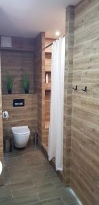 a bathroom with a toilet and a shower at APARTAMENTY RETRO DE LUX KROSNO in Krosno
