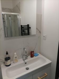 a bathroom with a sink and a mirror and a mirror at Bienvenue chez Seamora et Maelia in Saint Etienne