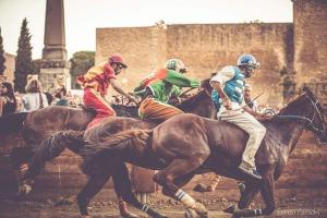 Horseback riding at Az apartmant or nearby