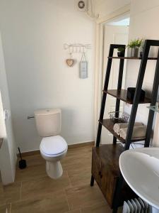 a bathroom with a toilet and a shelf and a sink at Studioverhuur Vlissingen in Vlissingen