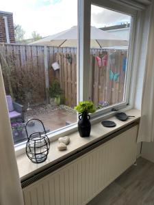 een vensterbank met een vaas en planten erop bij Studioverhuur Vlissingen in Vlissingen