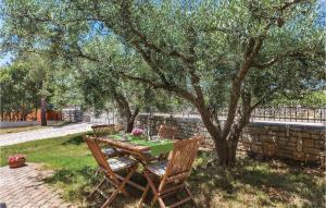 a wooden table and chairs under a tree at Cozy Apartment In Galizana With Kitchen in Galižana